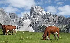 Ferienhaus Huber Hébergement de vacances Pfarrwerfen